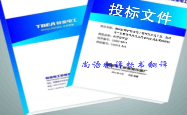 西班牙語投標(biāo)書翻譯價(jià)格要多少錢？收費(fèi)標(biāo)準(zhǔn)是什么？